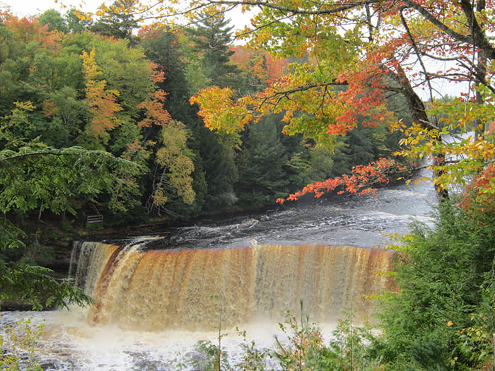 Fall colors
