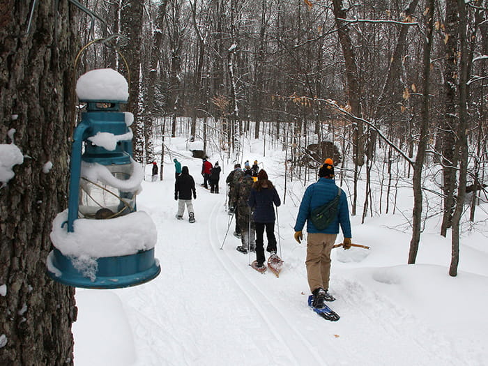 Lantern Lit snowshoeing