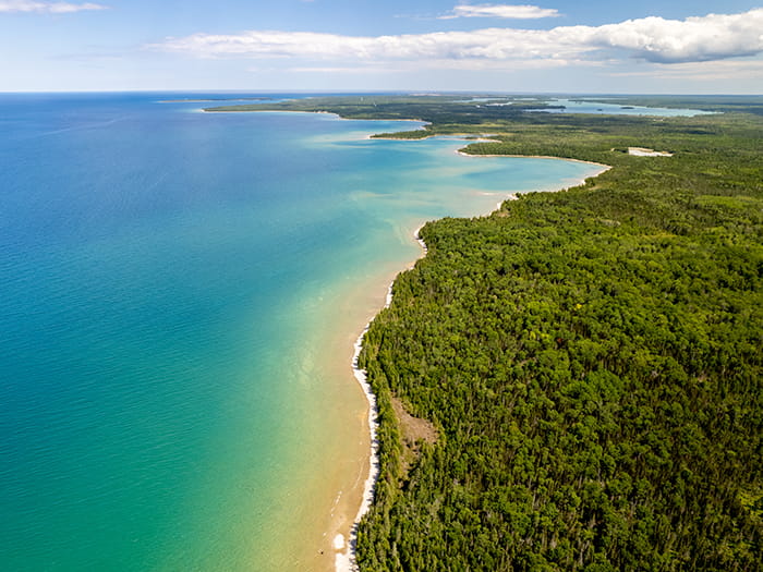 bird's-eye view of blue-green lake and trees