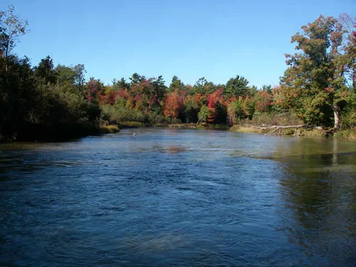 Tippy Dam fall color