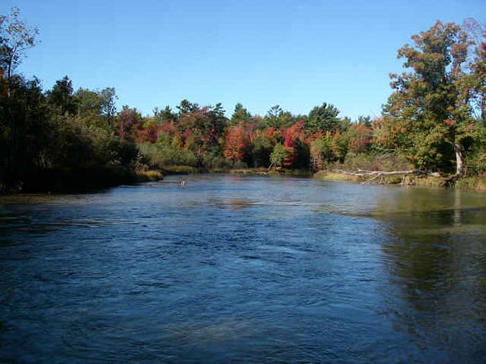 Tippy Dam fall color