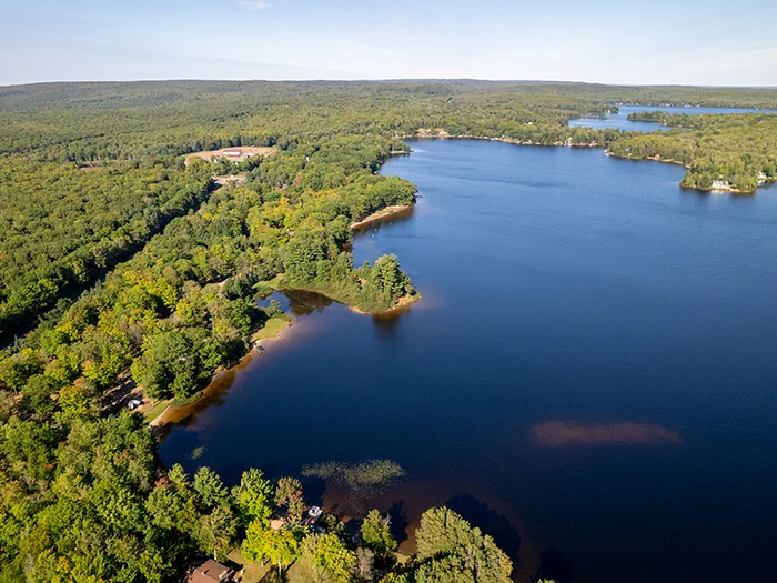 birds eye view of lake and forested land