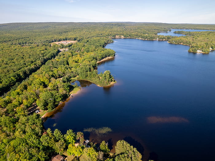 birds eye view of lake and forested land