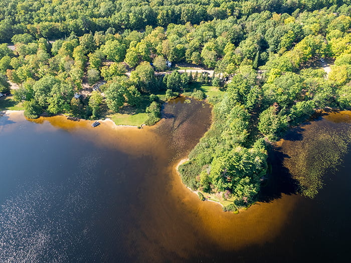 birds eye view of lake and forested land with inlet