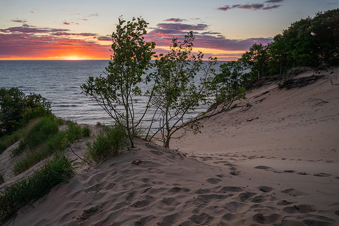 The sun setting over Lake Michigan as viewed over sand dunes with sparse vegetation