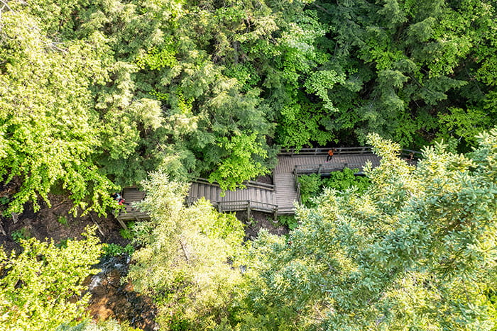 Aerial view of the stairs and boardwalk leading up to Wagner Falls