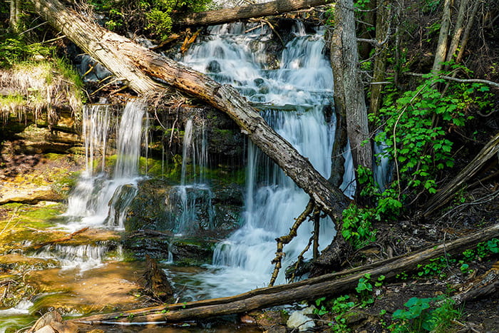 A small waterfall cascading over rocks and downed trees