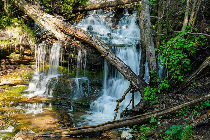 A small waterfall cascading over rocks and downed trees
