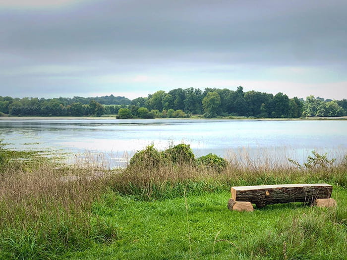 log bench on edge of lake