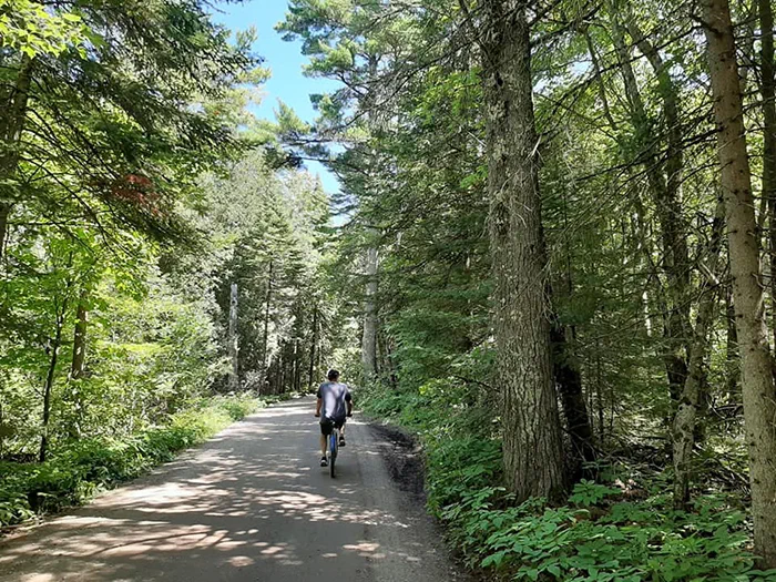 Wilderness park road