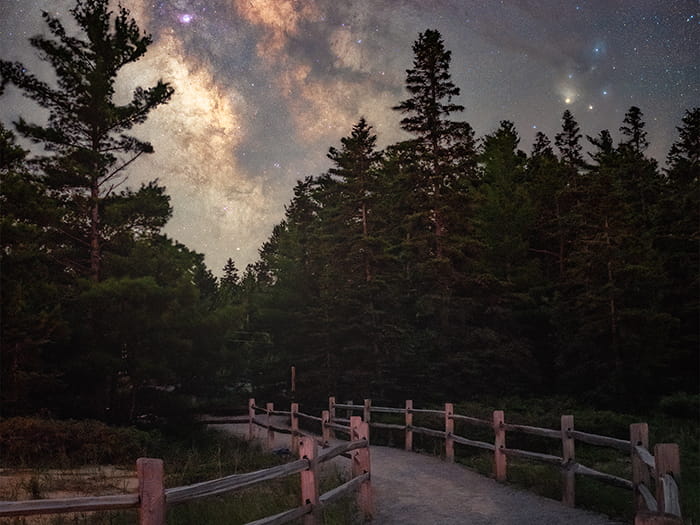 Wilderness dark sky