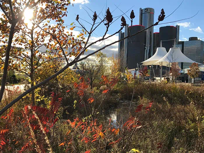 skyline and tent tops in fall