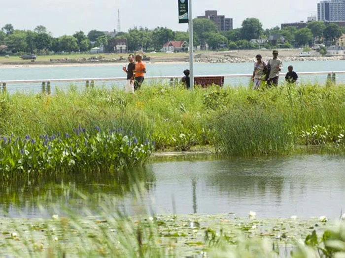 wetland with visitors walking on walkway