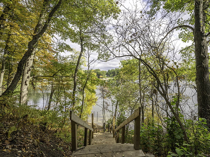 stairs leading to water, surrounded by trees