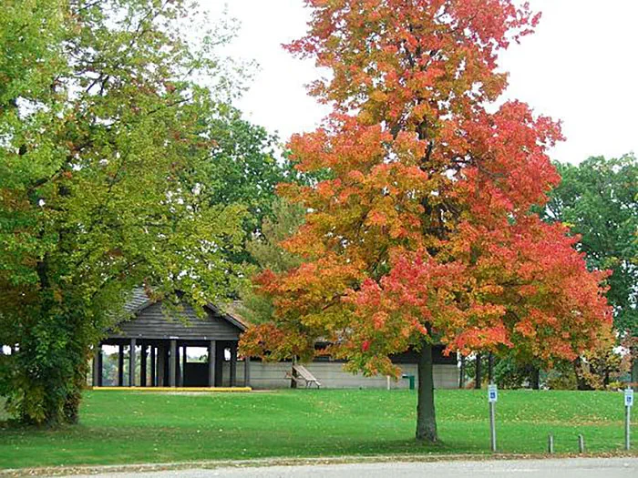 Roosevelt beach shelter