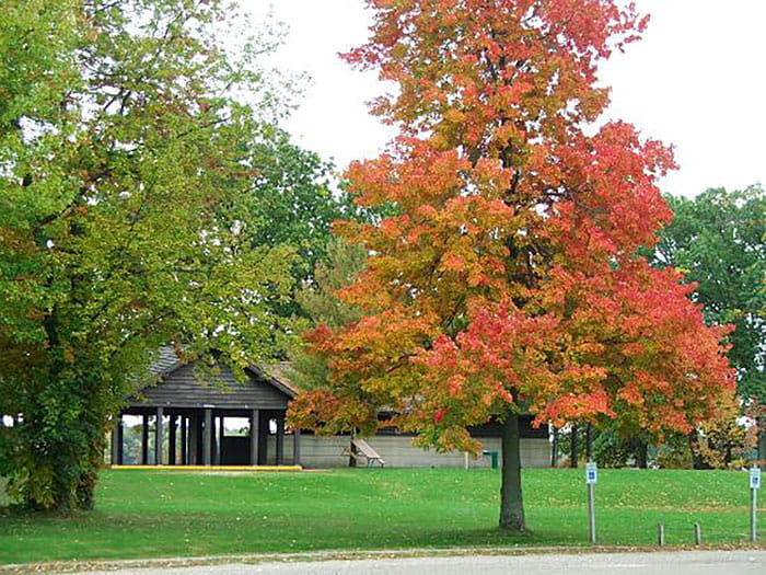 Roosevelt beach shelter