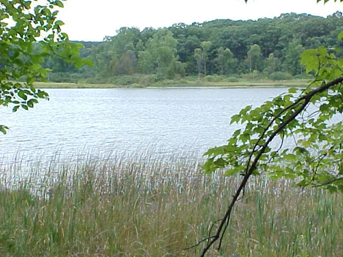 Yankee Springs Deep Lake