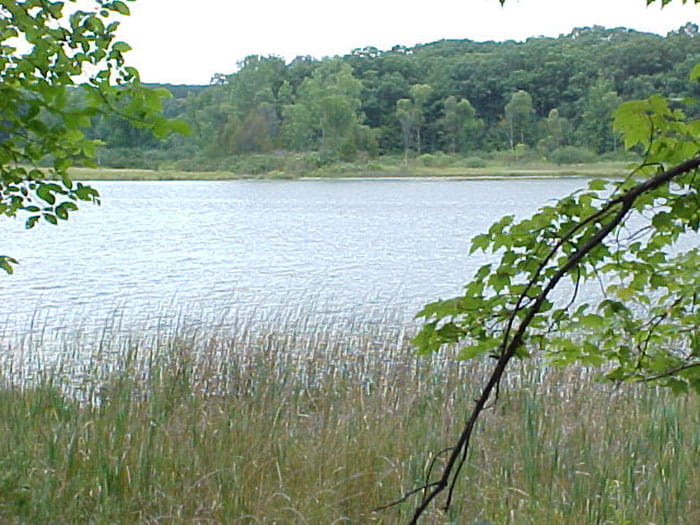 Yankee Springs Deep Lake