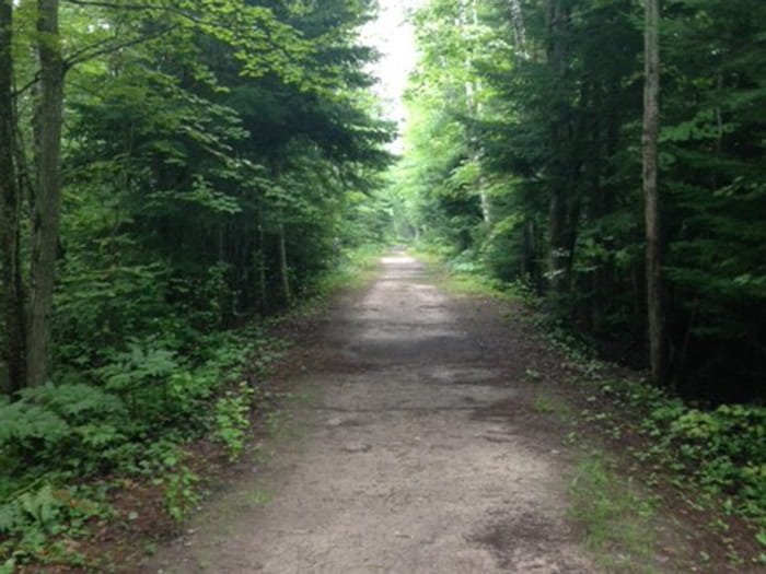 Algonquin Pathway in the summer