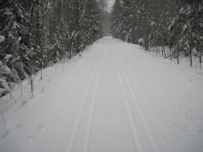 Algonquin Pathway in the winter