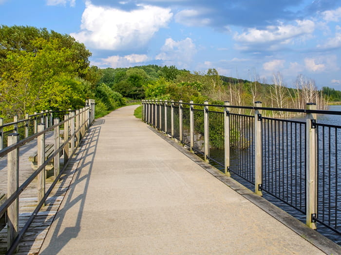 A bike trail with rails alongside it winds through a waterfront area and into a wooded area