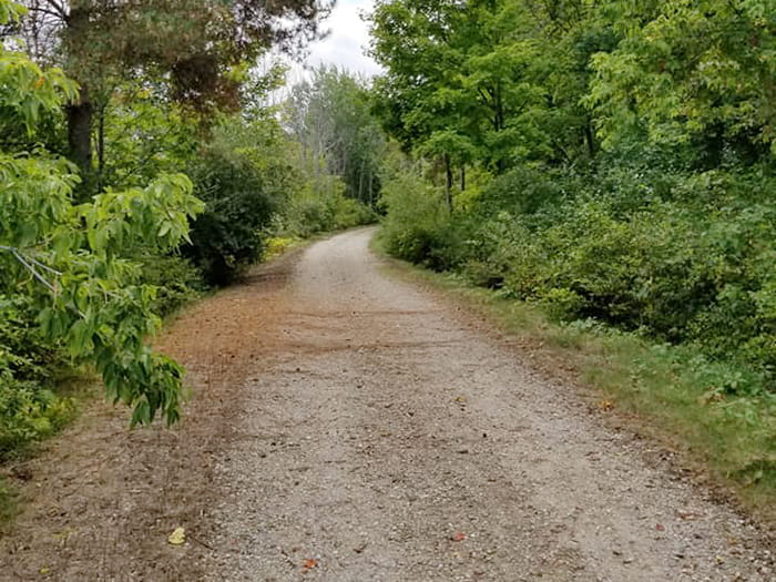 A crushed gravel trail winds into a wooded area