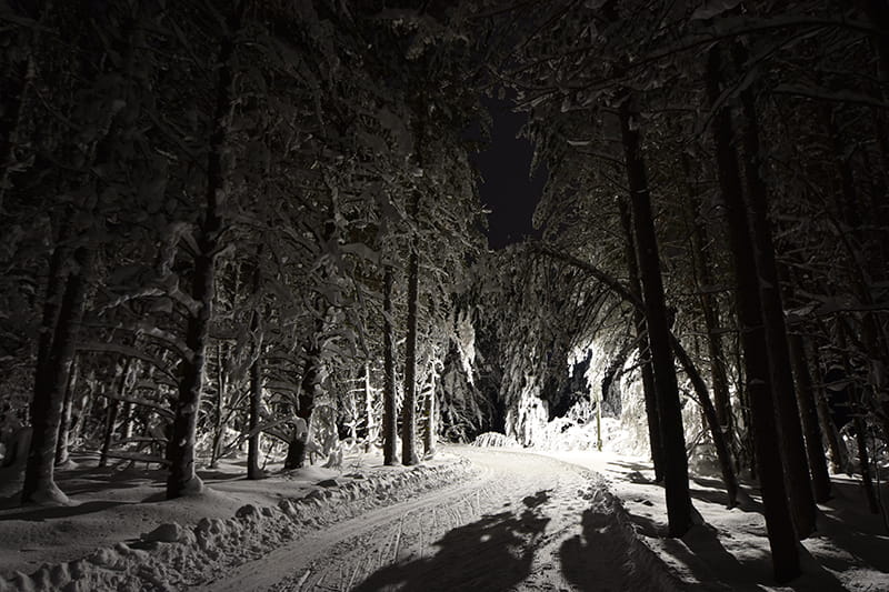 snowy and groomed trail at night