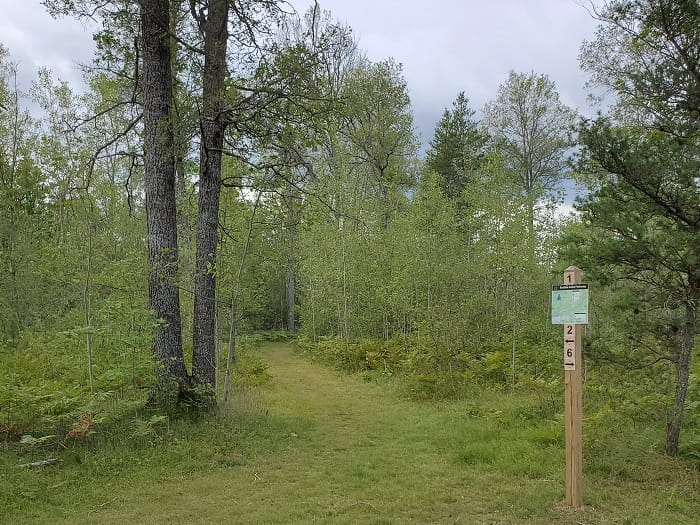 A trail marker on a forested pathway