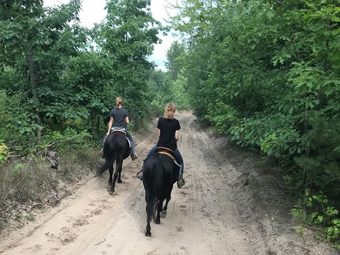 Two horseback riders on a sandy trail from behind