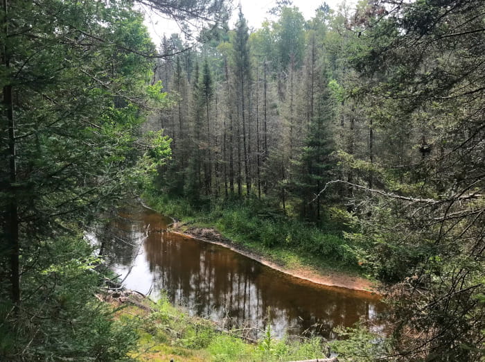 A view from a bluff down on a river surrounded by forest