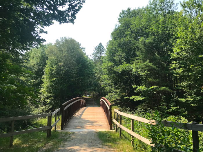 A wooden footbridge on a pathway