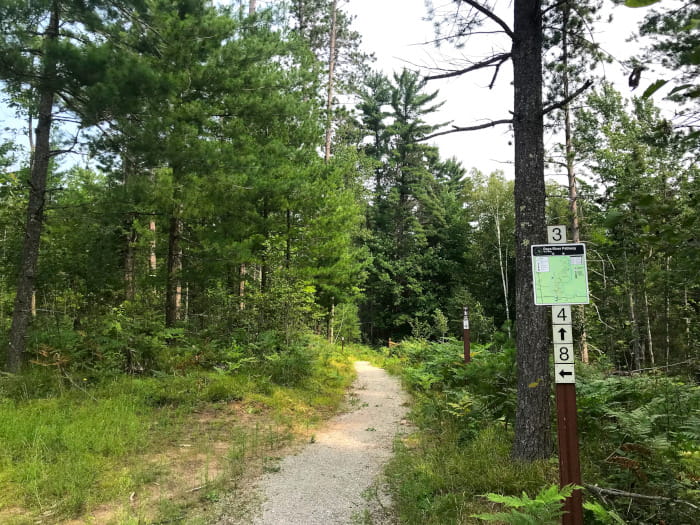 A trail marker near a sandy, winding path through a forest