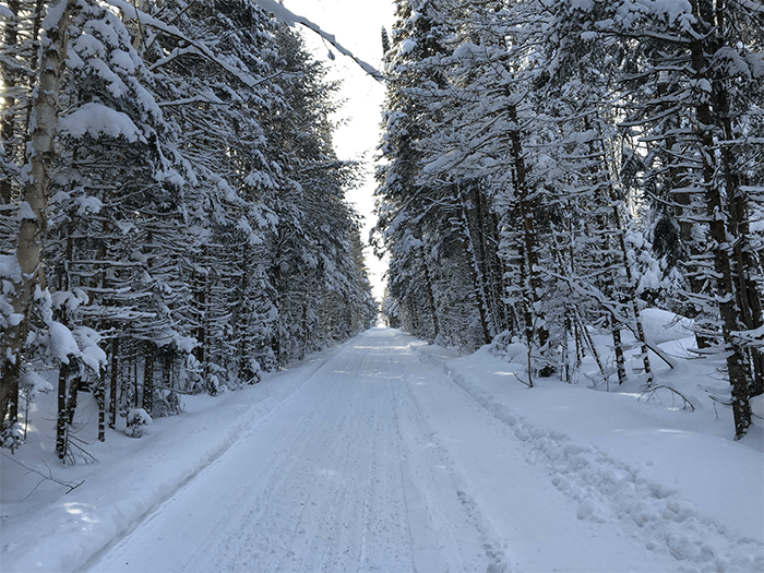 Haywire Grade winter