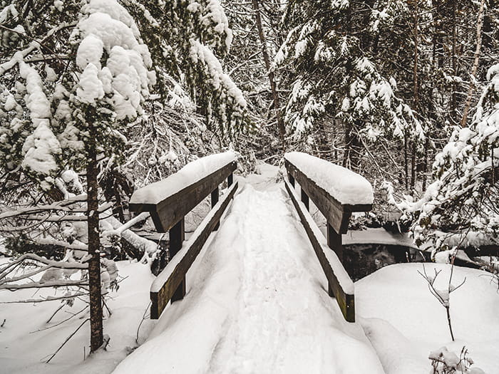foot bridge covered in snow