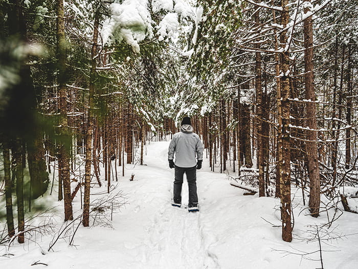 snowshoer walking on snowy tree lined trail