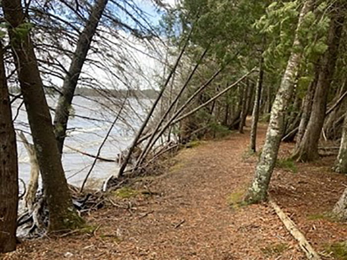 trail running along water