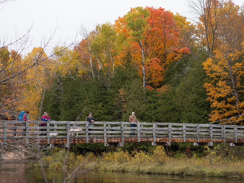 Hikers cross a bridge over a river with autumn foliage