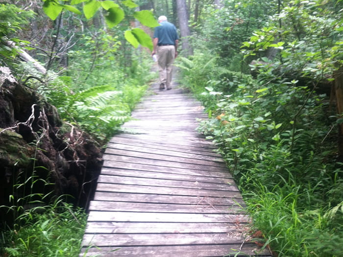 A person walks down a wavy boardwalk