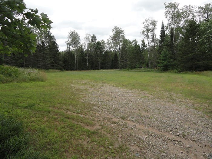 A pathway through an open field surrounded by trees