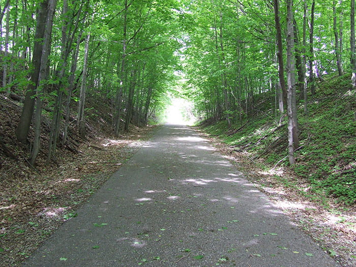 A tree-lined paved multi-use trail