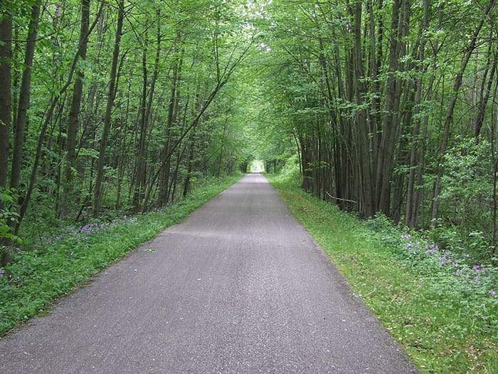 A tree-lined section of the Musketawa trail