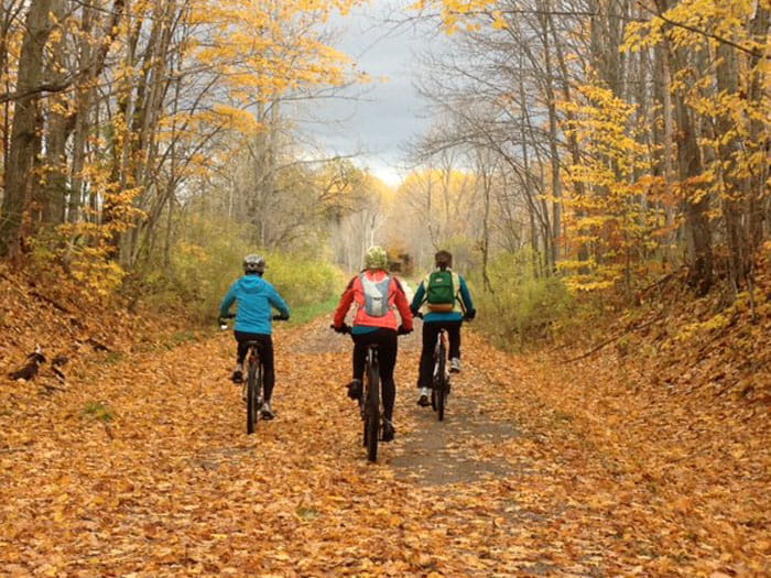 a group of cyclists with fall foliage on the trees and fallen leaves on the paved trail