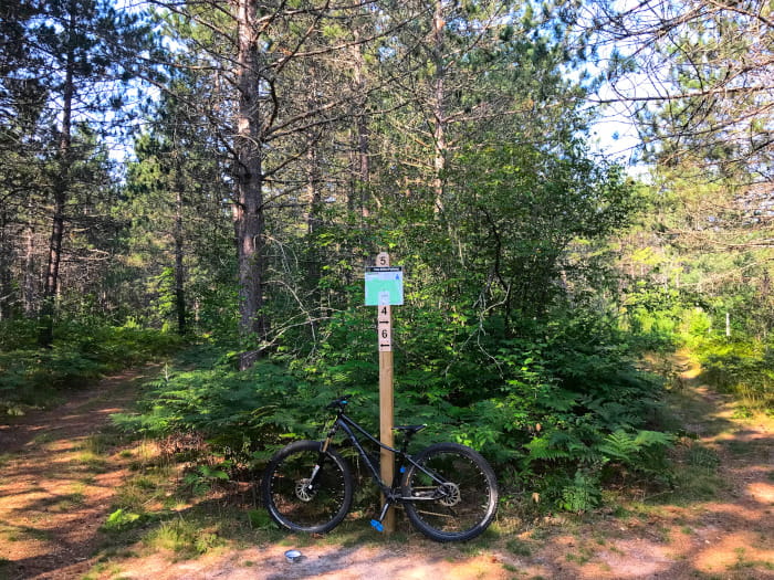 A trailhead marker with a mountain bike leaning on it