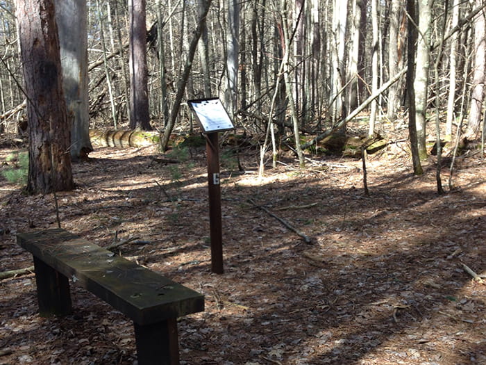 A trail map on a post, next to a bench on a trail