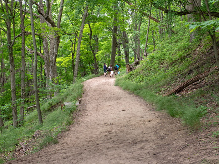 Saugatuck Dunes Beach Trail beginning