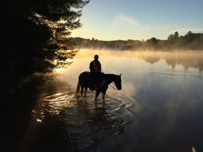 A silhouette of a horse and rider in the Cornwall Flooding at dawn