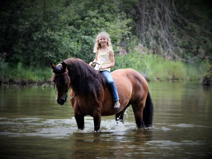 a young horse and rider in a river