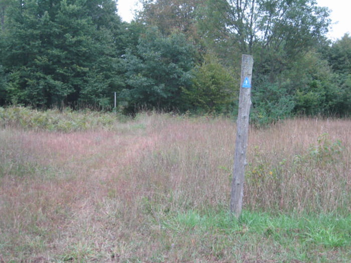a trail marker next to a path through a meadow heading into forest