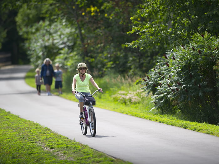 three walkers and biker riding bike on tree-lined paved trail