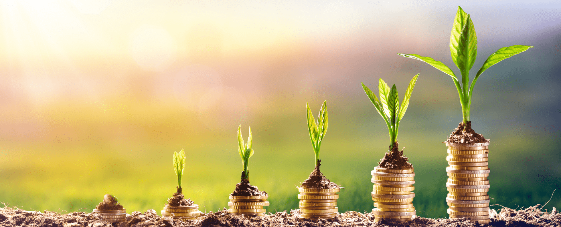 stackes of coins with plants starting to grow out of them